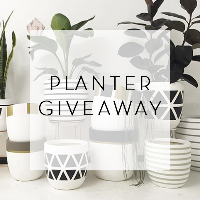 Design Twins Giveaway