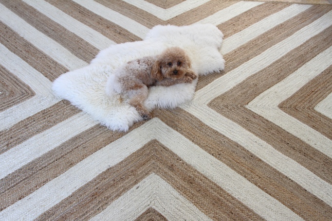 Fabulous Rugs 30% off!