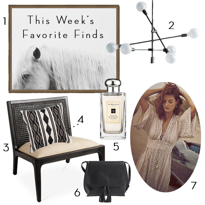 This Week's Favorite Finds