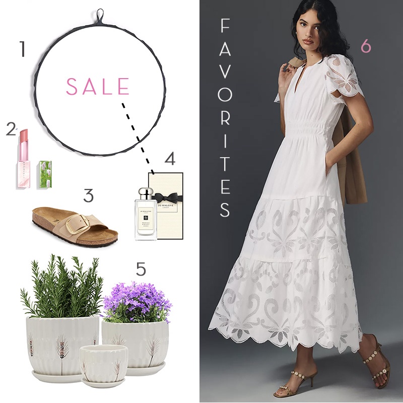 Friday Favorites